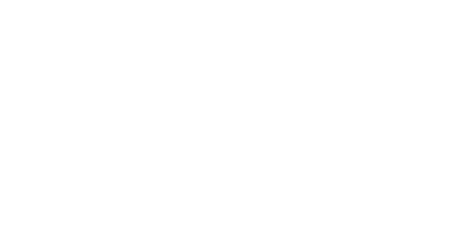 logo ANWB