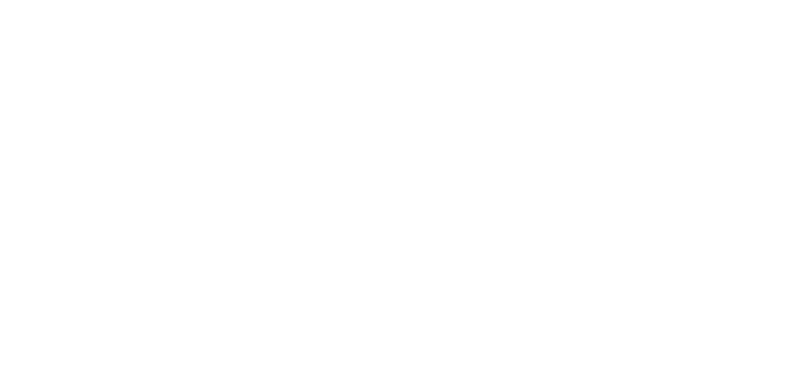 logo Vezet