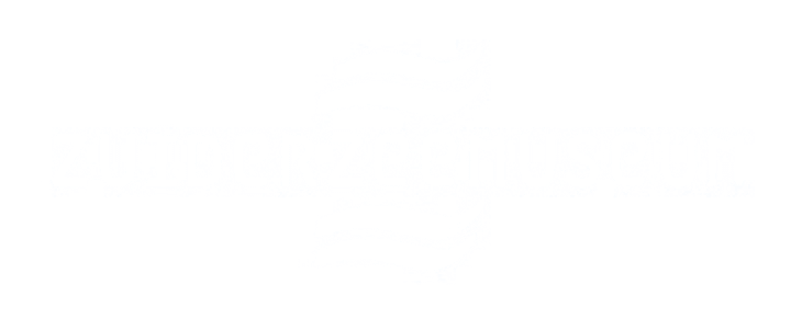 logo Zuiderzeemuseum