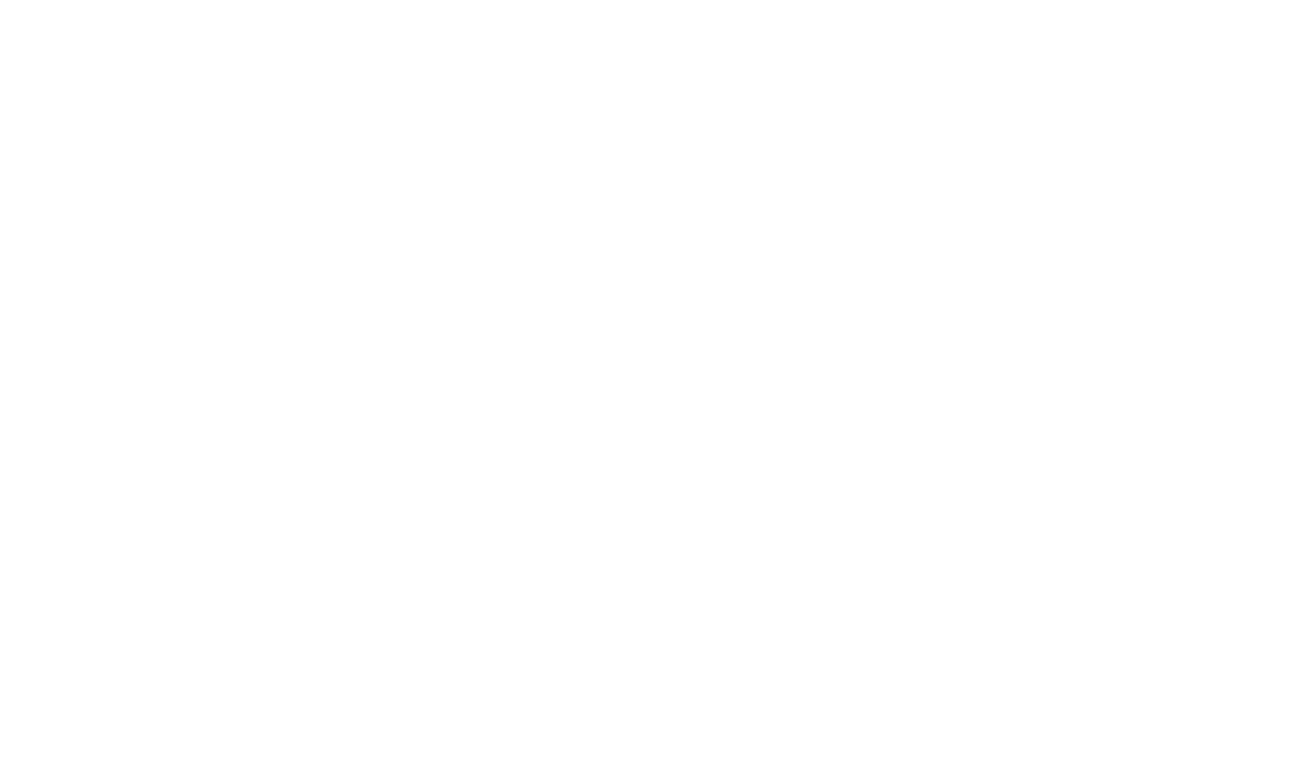 logo Bureau ICE