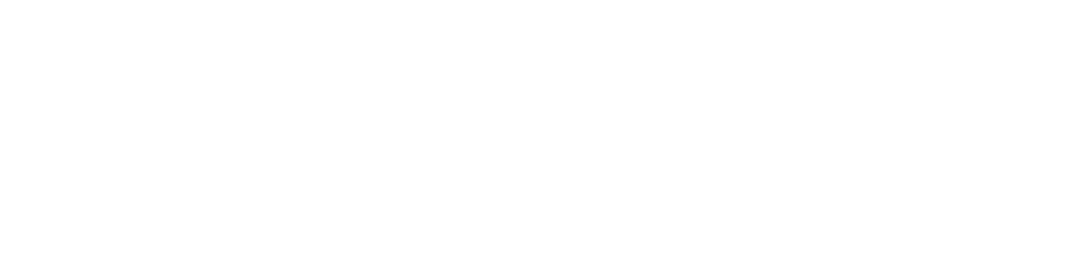 logo Haagse Hogeschool