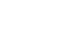 logo WomenInc