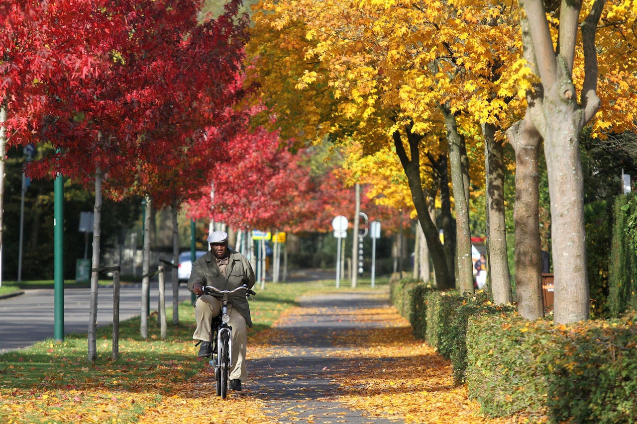 fietser op fietspad
